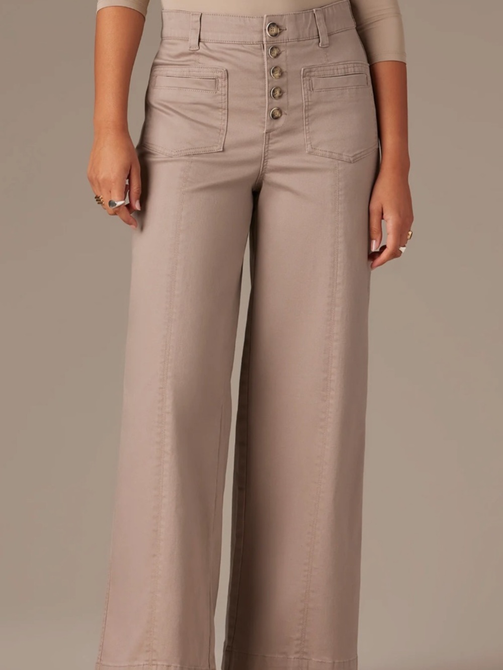 Wit & Wisdom SKYRISE BUTTON FLY WIDE LEG PANTS - Sz 10